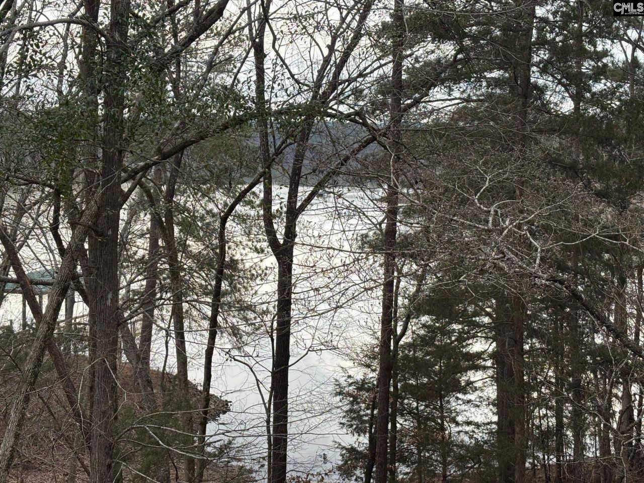 1225 Wateree Road Photo 27