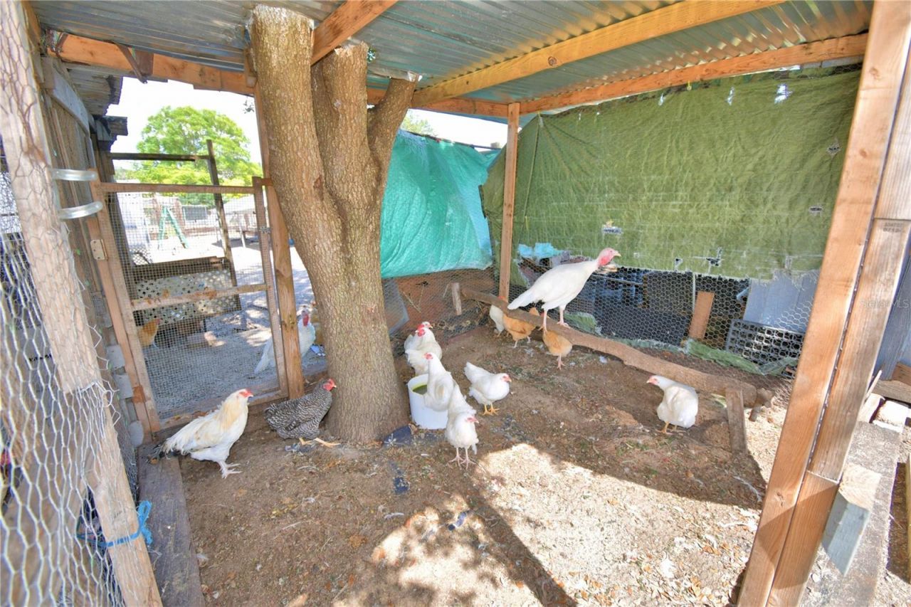 715 Fazzini Road, Babson Park, FL 33827 Photo