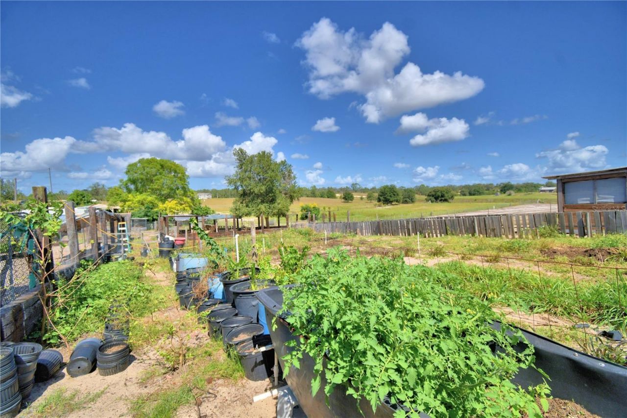 715 Fazzini Road, Babson Park, FL 33827 Photo