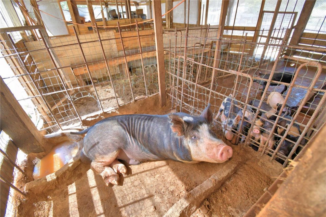 715 Fazzini Road, Babson Park, FL 33827 Photo