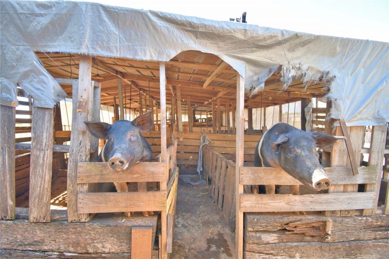 715 Fazzini Road, Babson Park, FL 33827 Photo