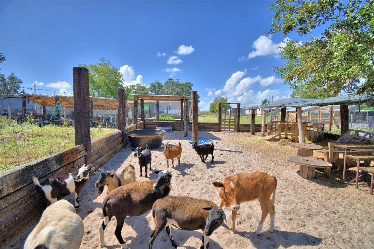 715 Fazzini Road, Babson Park, FL 33827 Photo