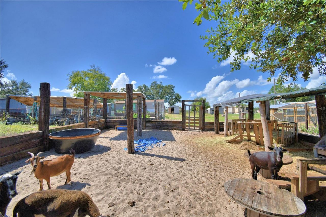 715 Fazzini Road, Babson Park, FL 33827 Photo