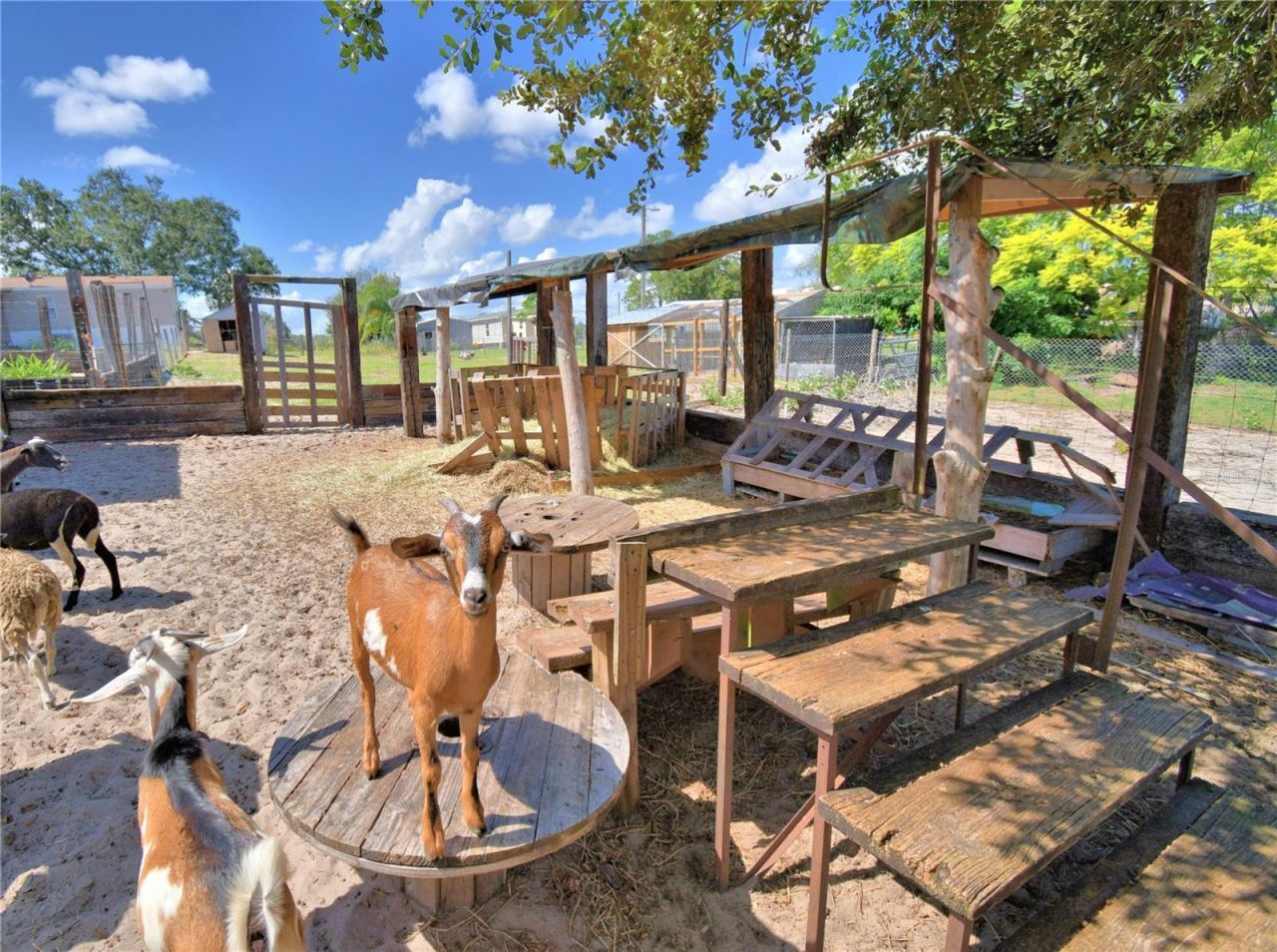 715 Fazzini Road, Babson Park, FL 33827 Photo