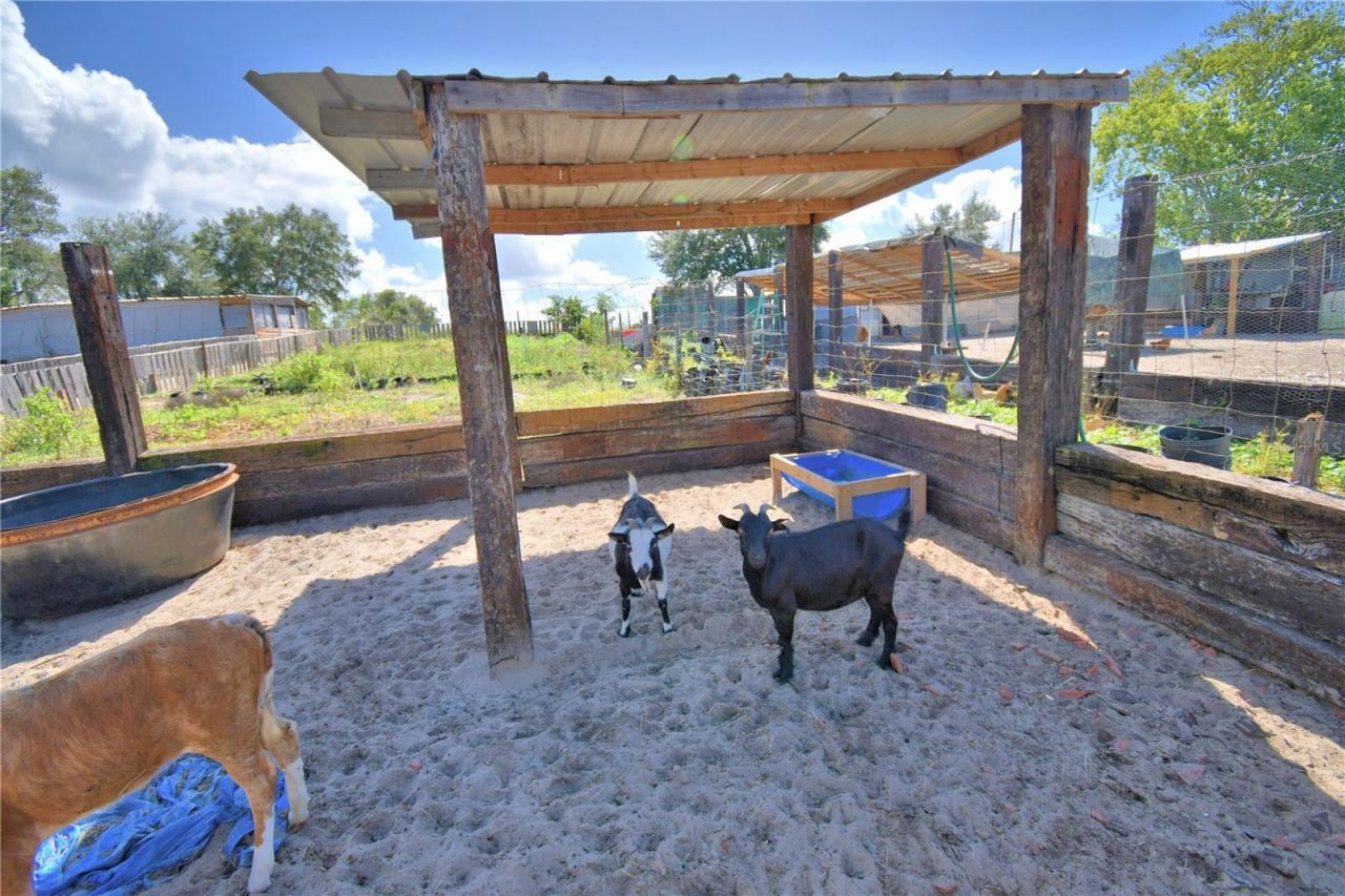 715 Fazzini Road, Babson Park, FL 33827 Photo