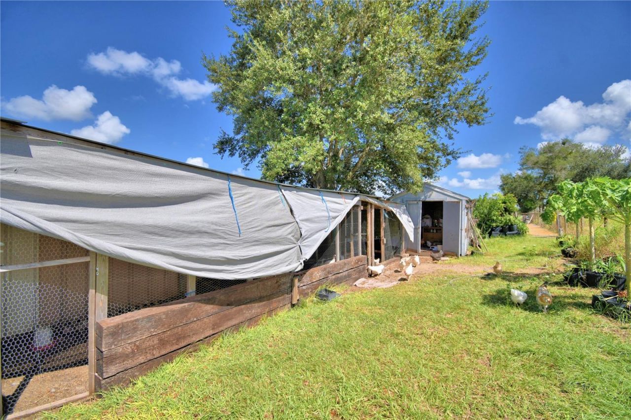 715 Fazzini Road, Babson Park, FL 33827 Photo