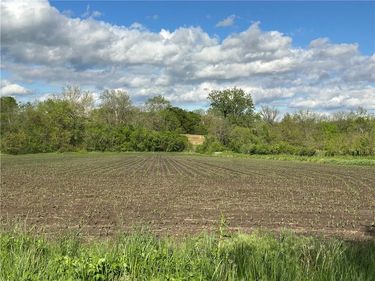 Tract 1 Albany Road, Orrick, MO 64077