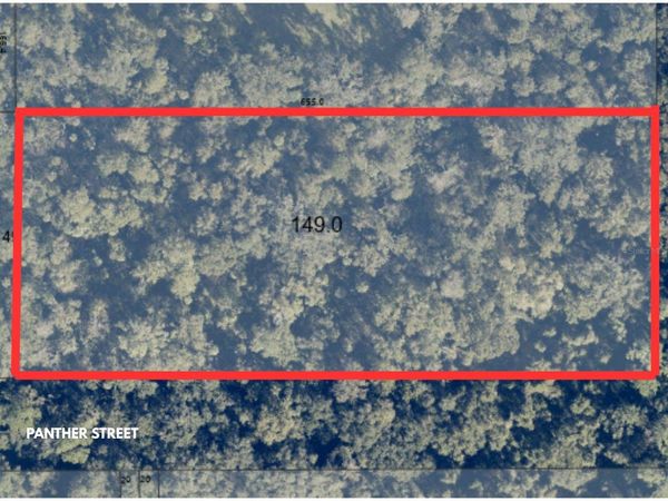 PANTHER STREET, OVIEDO, FL 32765