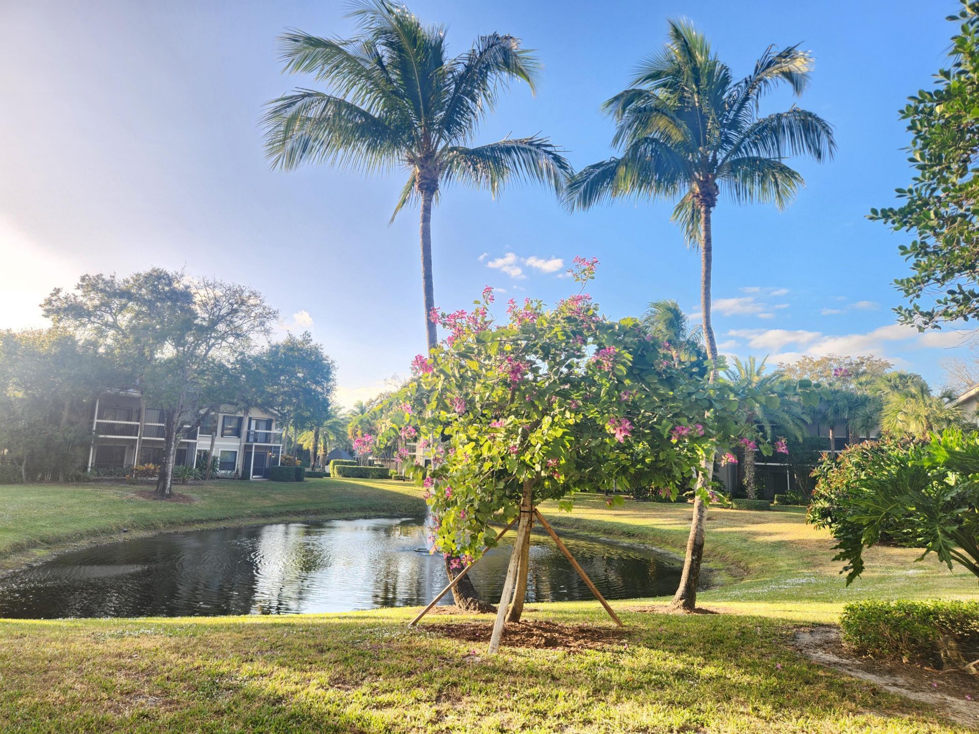 11863 Wimbledon Circle, Unit 416, Wellington, FL 33414 Photo