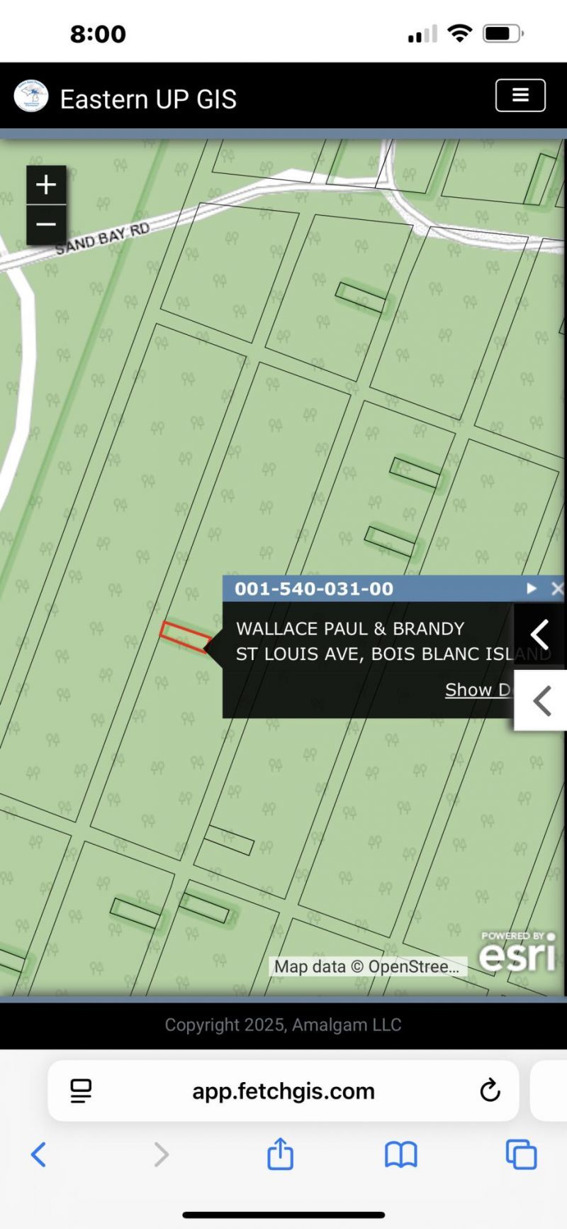 15b49 St. Louis Ave, Bois Blanc, MI 49775 Main Photo