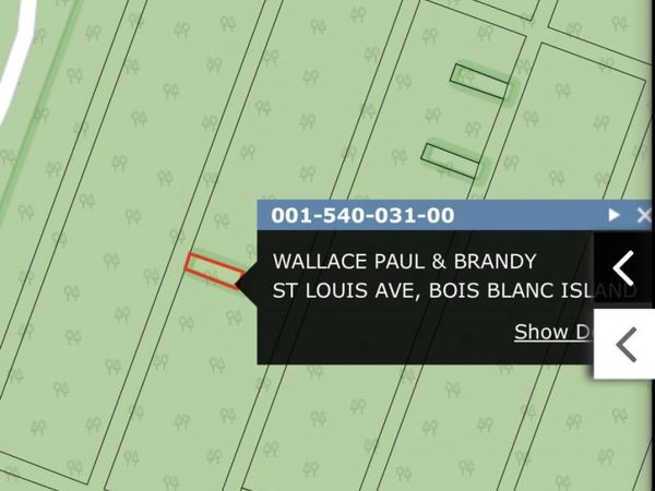 15B49 St. Louis AVE, Bois Blanc, MI 49775