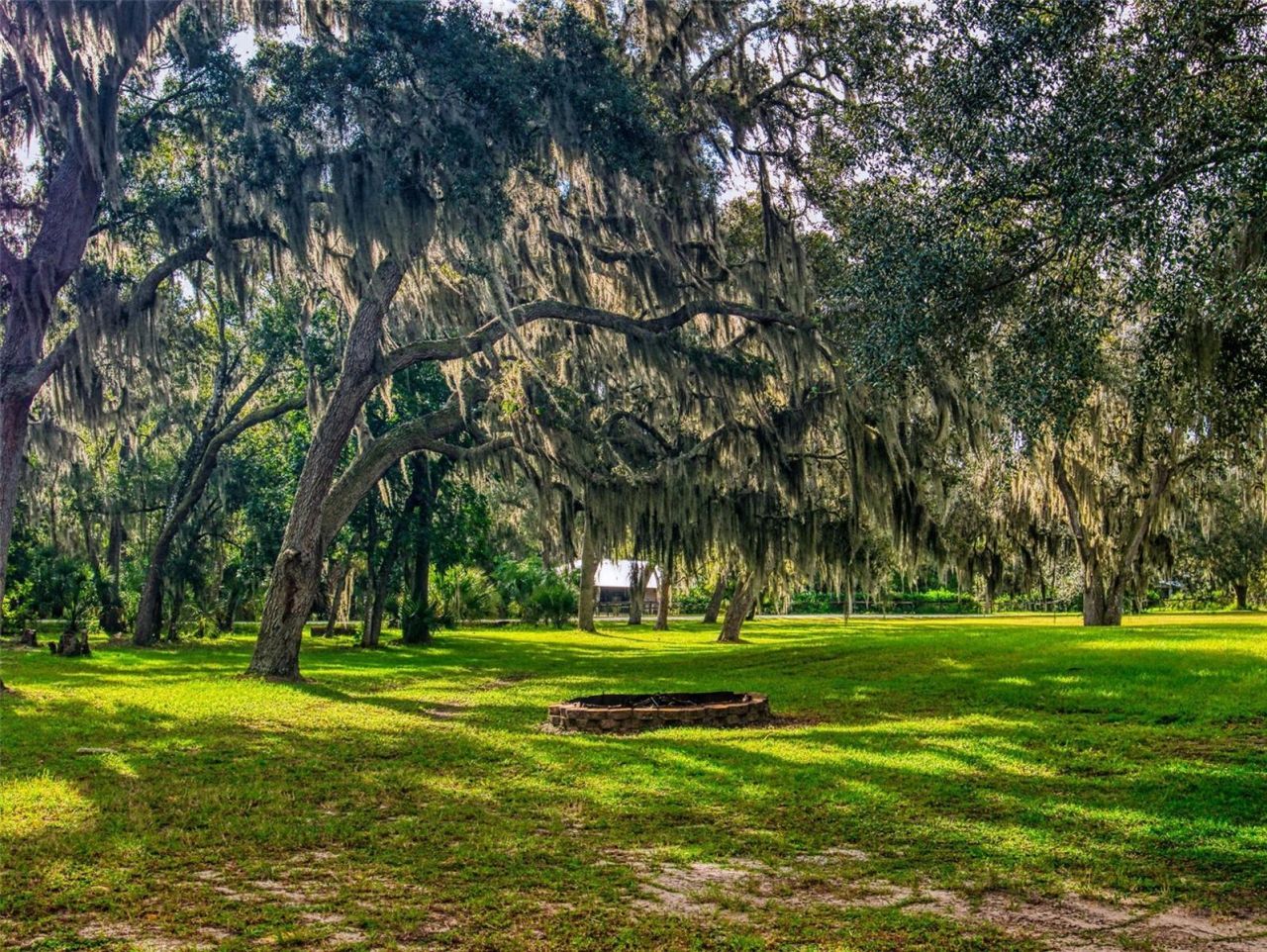 1800 Rendy Road, New Smyrna Beach, FL 32168 Photo