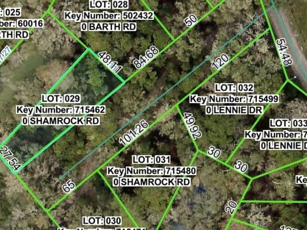 SHAMROCK ROAD, DADE CITY, FL 33523