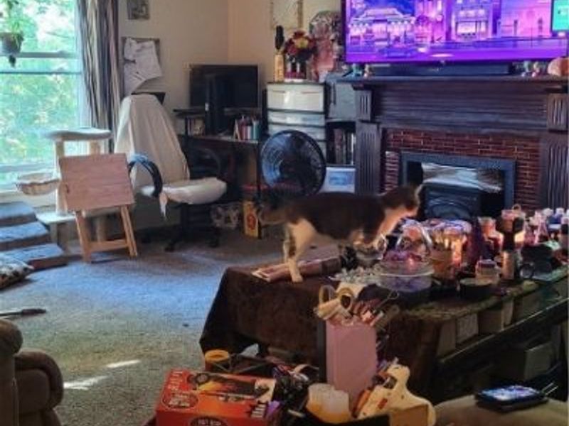 242 W Highland Avenue, Ravenna, OH 44266 Photo 17