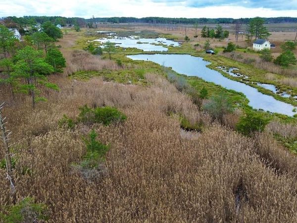 2707 TODDVILLE ROAD, TODDVILLE, MD 21672