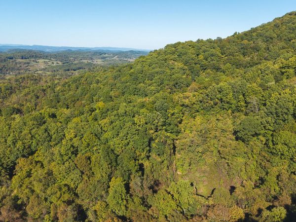 69.26 AC Wolfe Rd, Sneedville, TN 37869