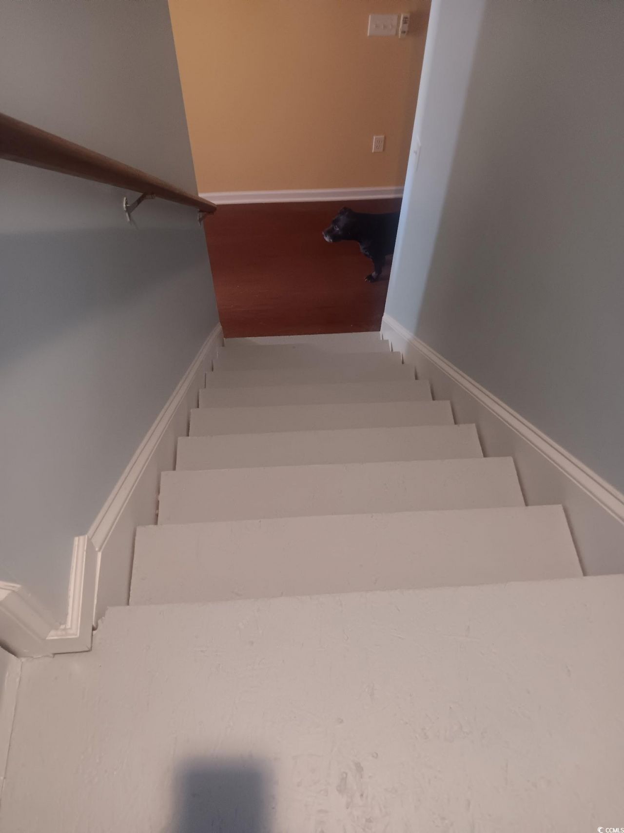 209 Golden Oaks Dr. Photo 23