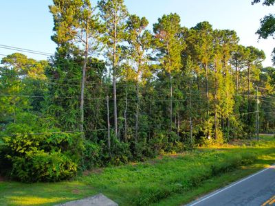 0 Rifle Range Road, Unit (Lot 2), Mount Pleasant, SC 29466