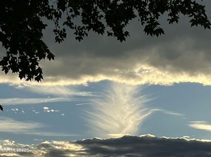 2835 Parkway Drive, Reno, NV 89502 Photo