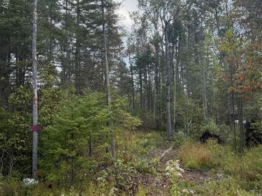 9191 M 33 , Avery Twp, MI 49709