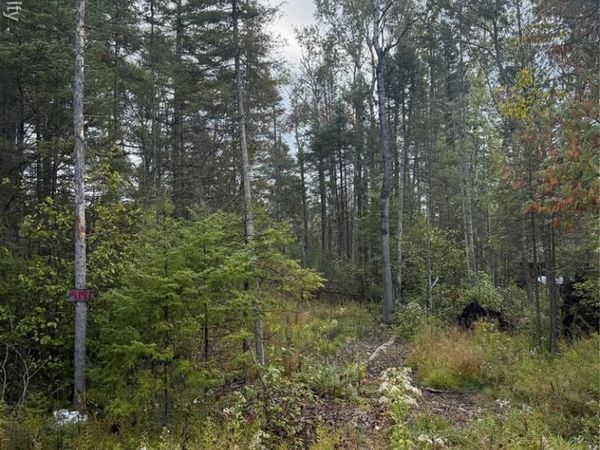 9191 M 33 , Avery Twp, MI 49709