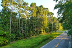 0 Rifle Range Road photo 4