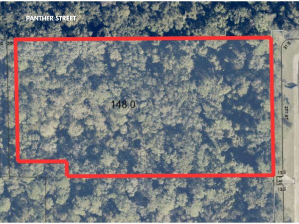 PANTHER STREET, OVIEDO, FL 32765