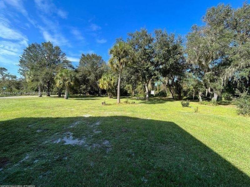 343 Ellison Ave, Lake Placid, FL 33852 Photo