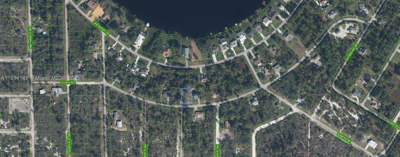 343 Ellison Ave, Lake Placid, FL 33852 Photo