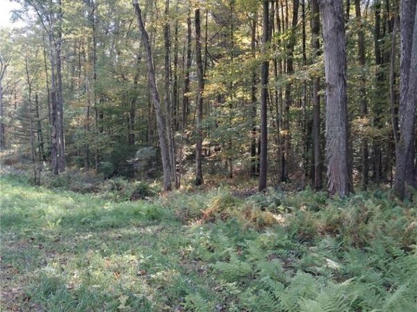 0 Stone Barn Road, Cleveland, NY 13042