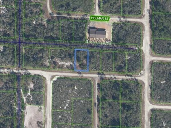 3507 & 3509 JAMBOREE STREET, LAKE PLACID, FL 33852