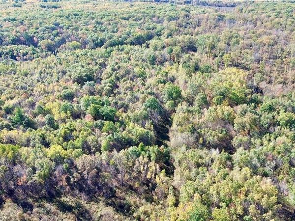 0 Sherwood Road, Pittsville, WI 54466