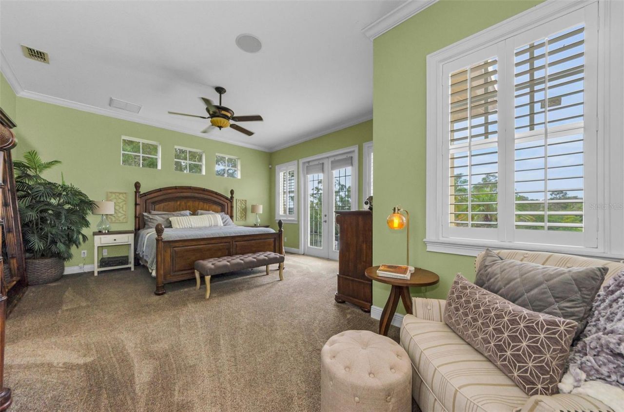 3143 Pineview Drive, Holiday, FL 34691 Photo