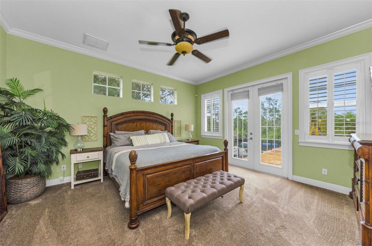 3143 Pineview Drive, Holiday, FL 34691 Photo