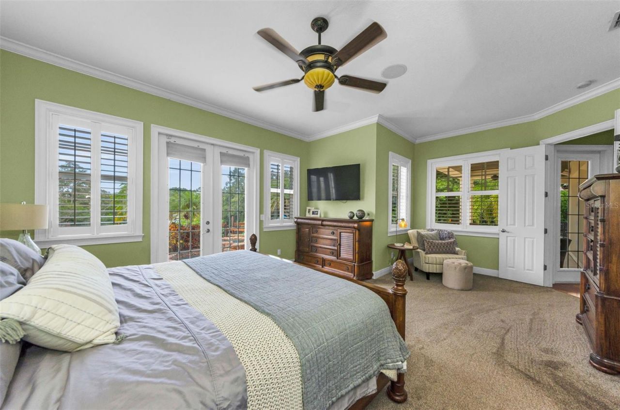 3143 Pineview Drive, Holiday, FL 34691 Photo