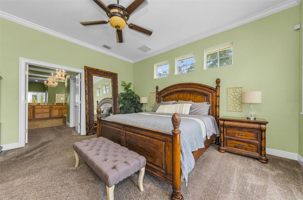 3143 Pineview Drive, Holiday, FL 34691 Photo