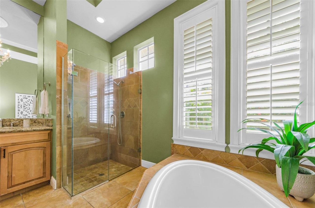 3143 Pineview Drive, Holiday, FL 34691 Photo