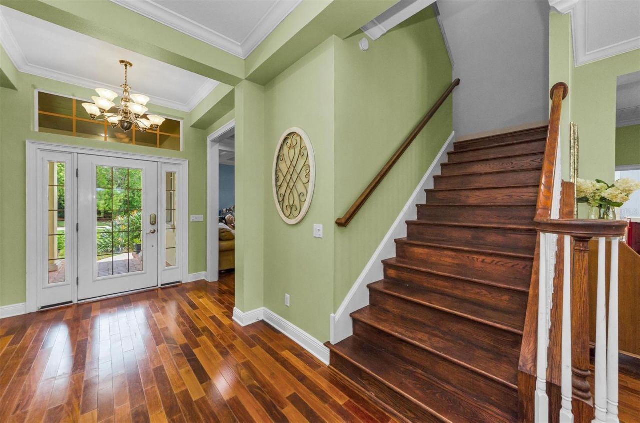 3143 Pineview Drive, Holiday, FL 34691 Photo