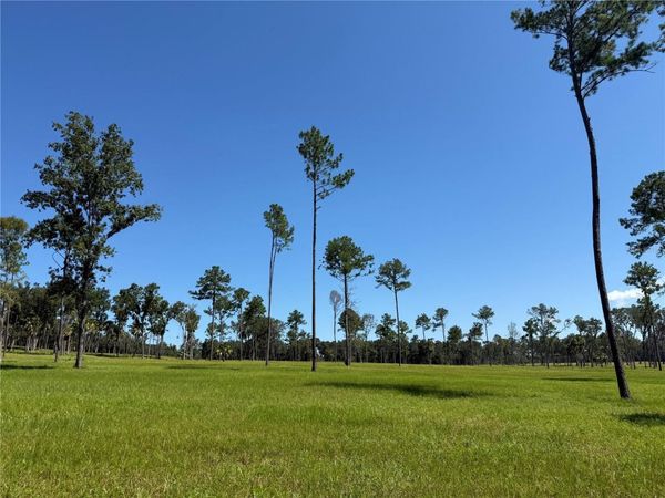 DR #5 (24ac) NW 193RD ST, MICANOPY, FL 32667