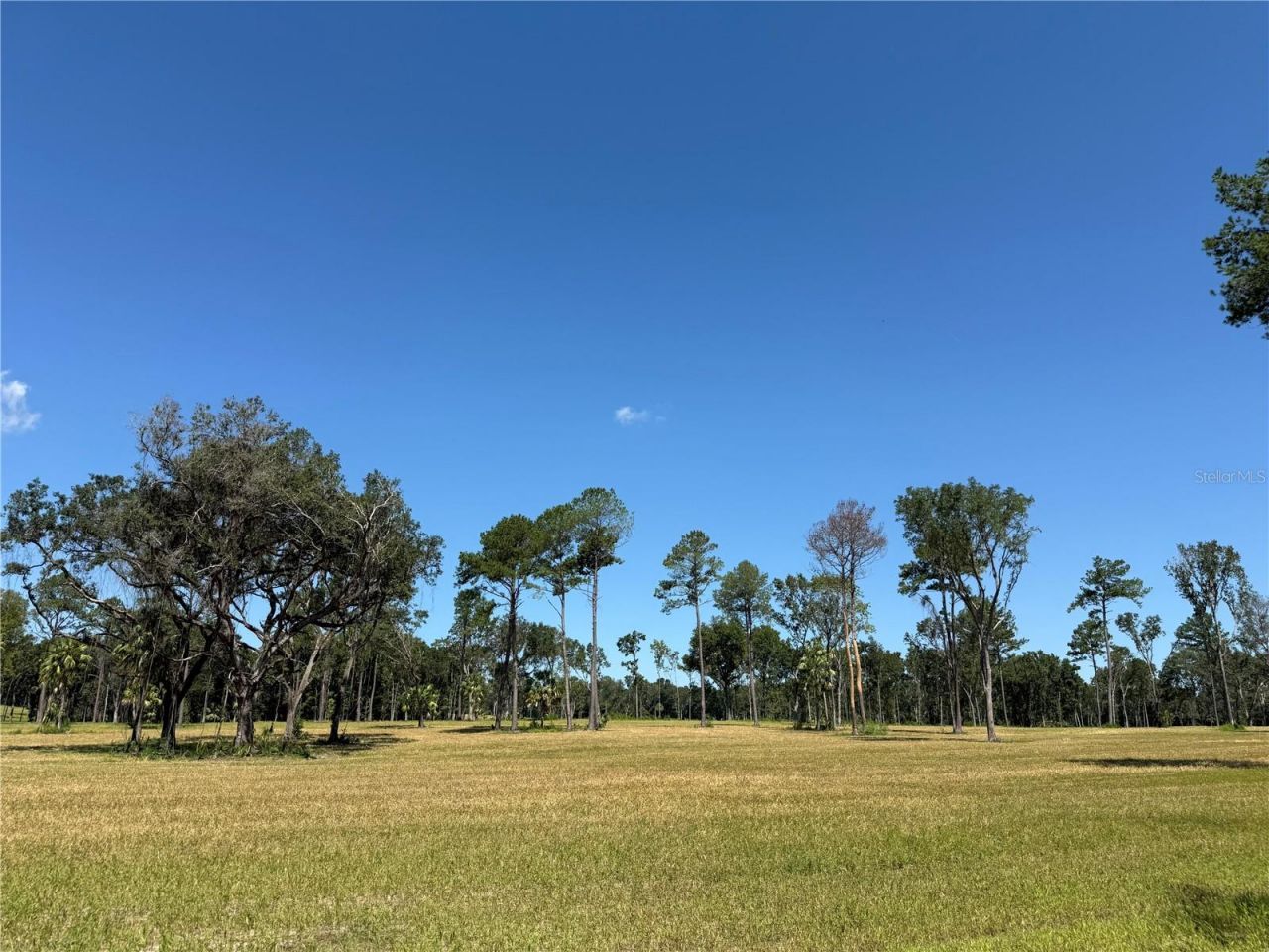 Dr #5 (24ac) NW 193rd St, Micanopy, FL 32667 Photo
