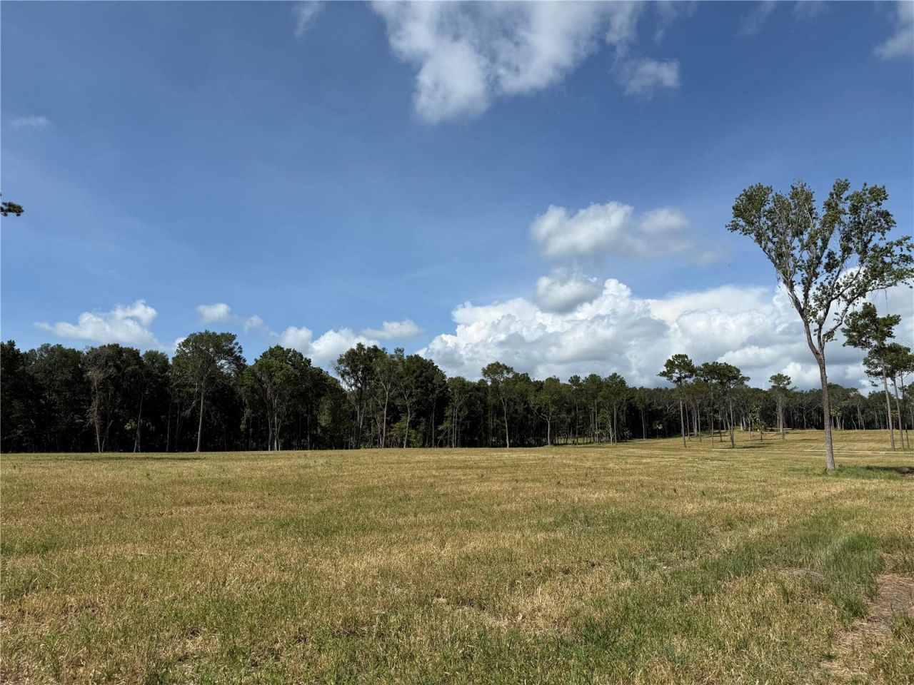 Dr #5 (24ac) NW 193rd St, Micanopy, FL 32667 Photo