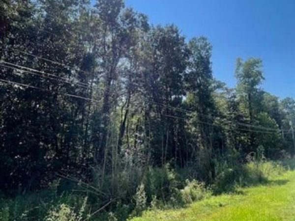 Lot 6 Belle Fontaine Boulevard, Theodore, AL 36582