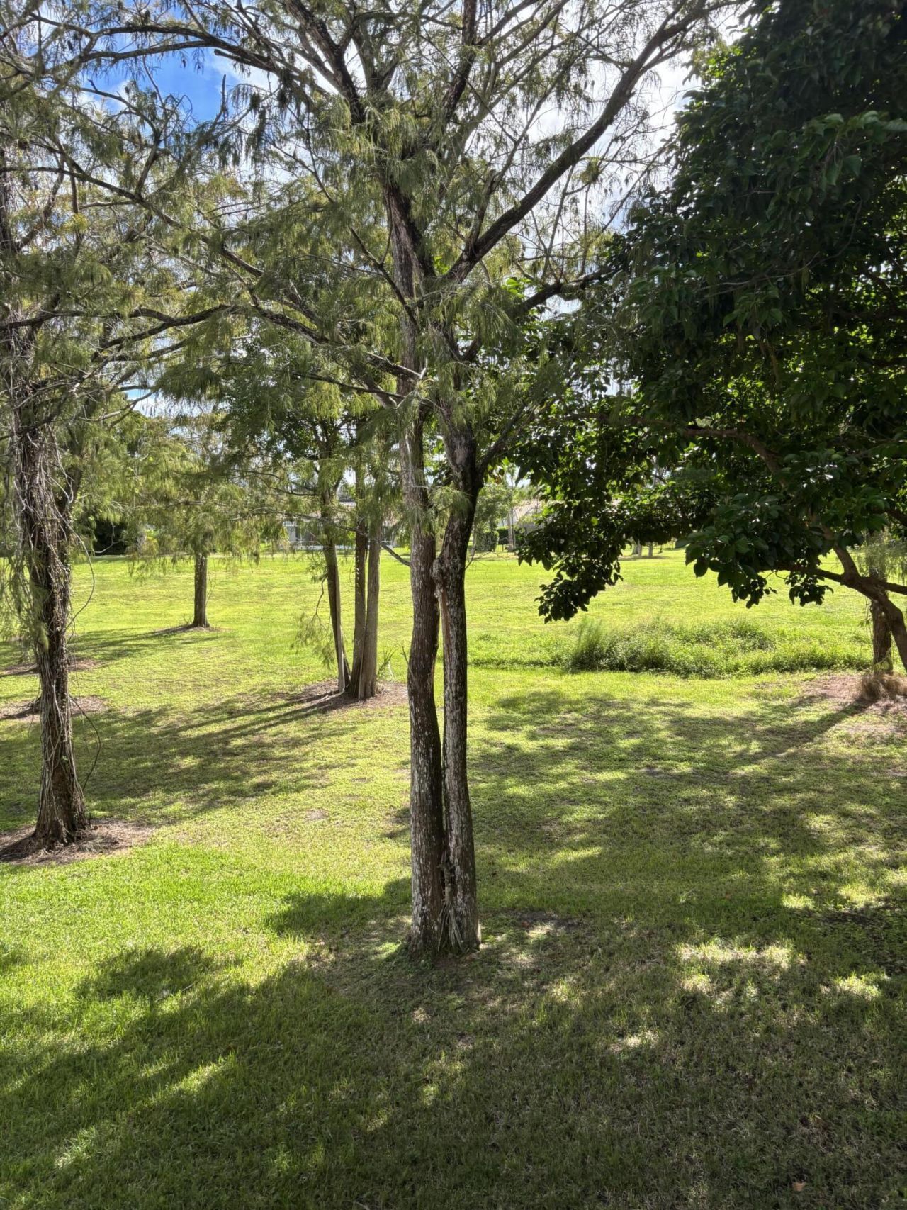 9266 Vista Del Lago, Unit 25h, Boca Raton, FL 33428 Photo