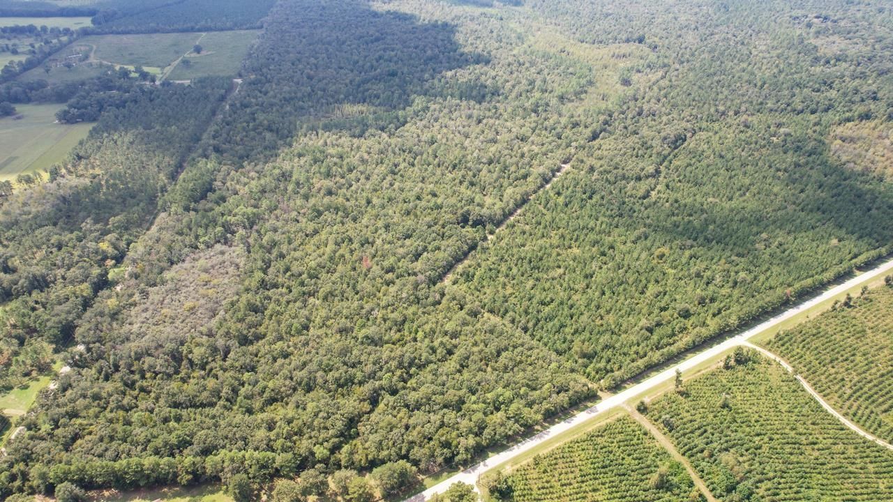 379 Glory Road, Quincy, FL 32352 Photo