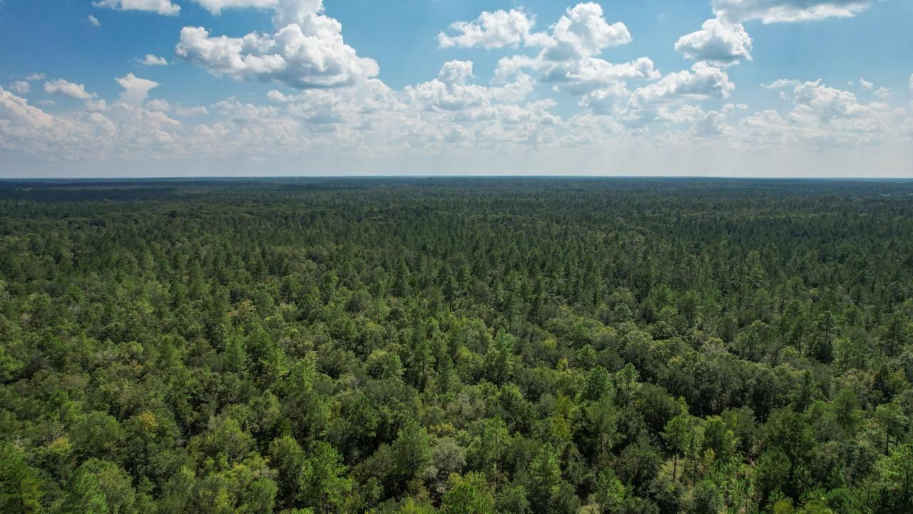 379 Glory Road, Quincy, FL 32352 Photo