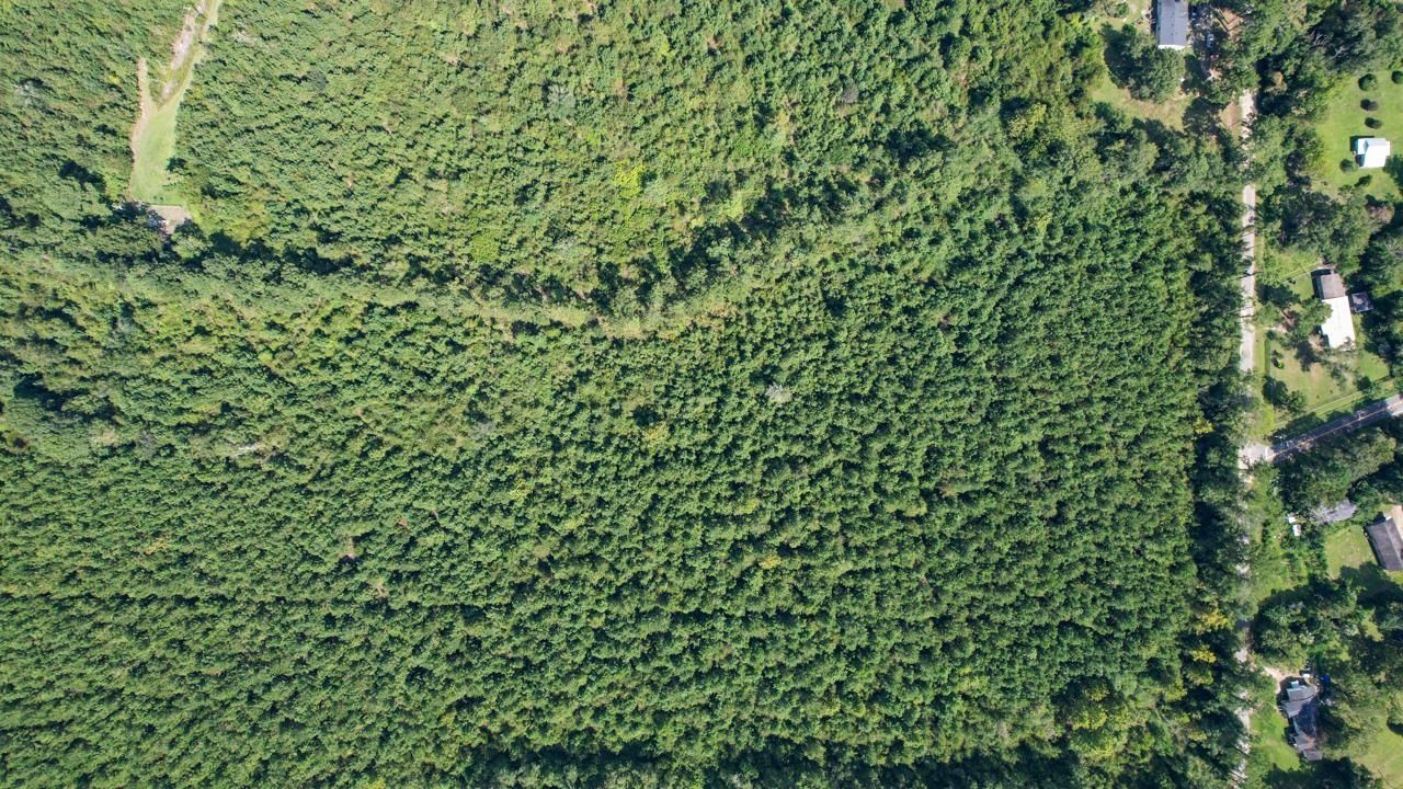 379 Glory Road, Quincy, FL 32352 Photo