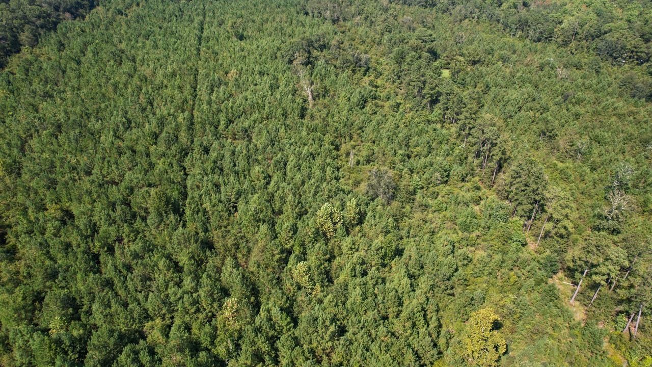 379 Glory Road, Quincy, FL 32352 Photo