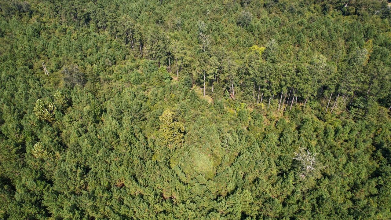 379 Glory Road, Quincy, FL 32352 Photo