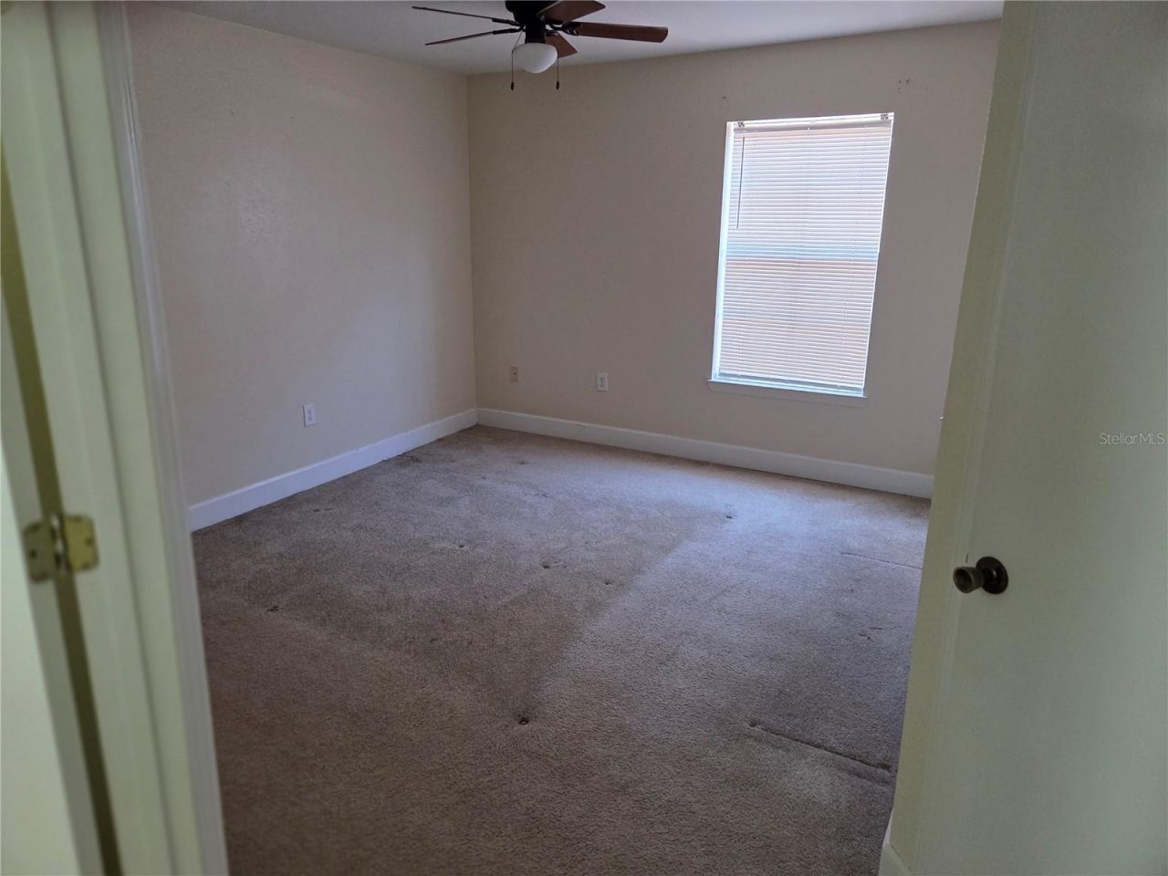 8513 Island Breeze Lane, Unit 202, Temple Terrace, FL 33637 Photo