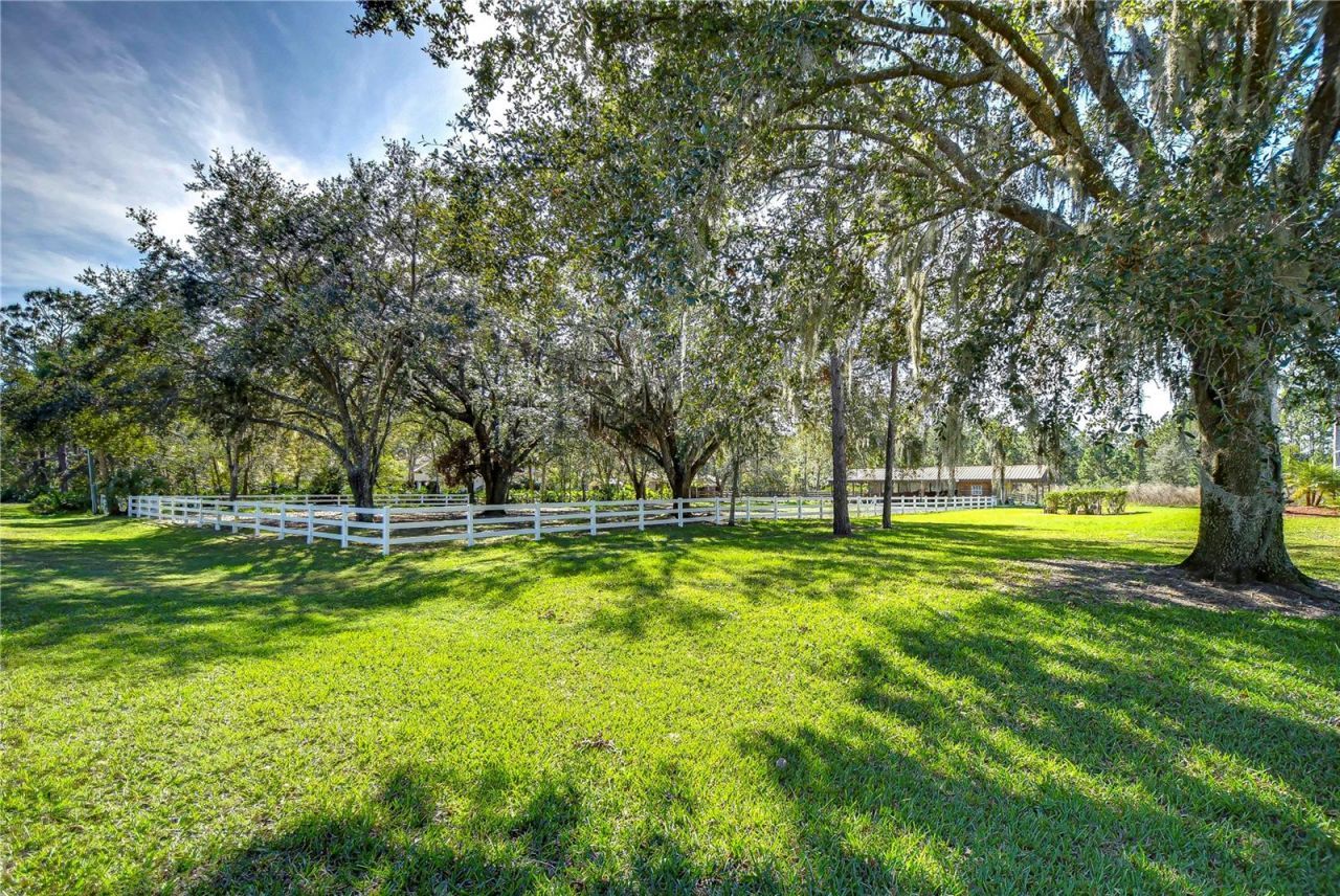 8345 Shenandoah Run, Wesley Chapel, FL 33544 Photo